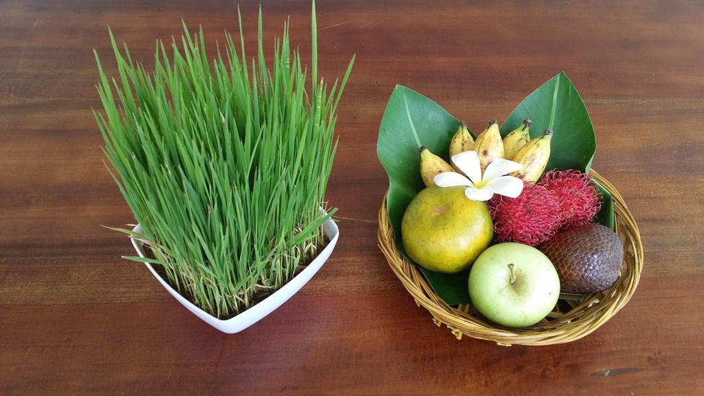 Hotel Palm Garden Bali Nusa Dua  Zewnętrze zdjęcie